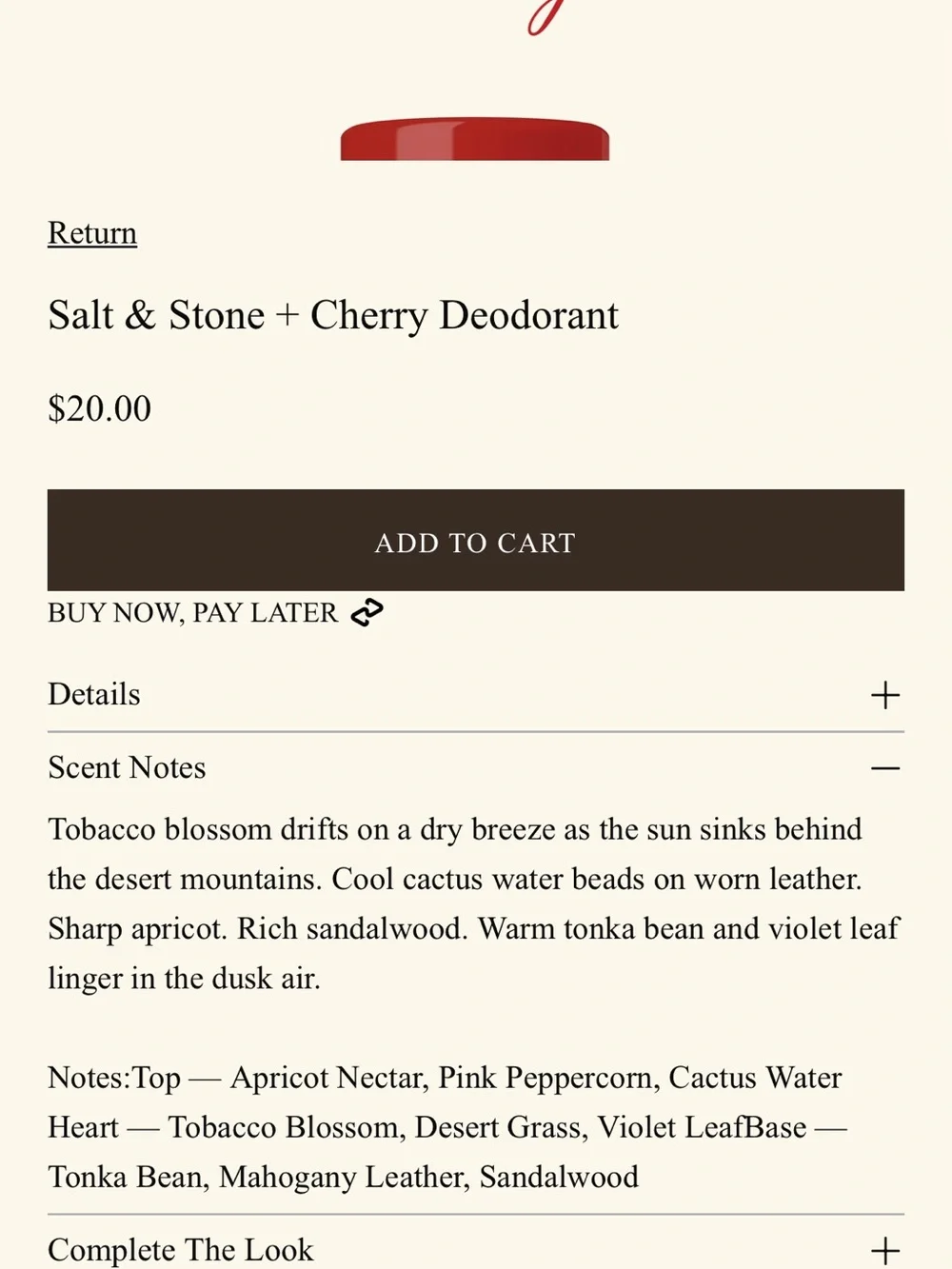 Salt & Stone salt stone
